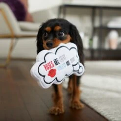 Frisco Valentine Be My Valentine Thought Bubble Reversible Plush Squeaky Dog Toy 8 Frisco Valentine Be My Valentine Thought Bubble Reversible Plush Squeaky Dog Toy -WoofyPlay Store 298947 PT3. AC SS1800 V1638987445