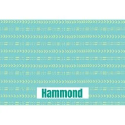 Frisco Mudcloth Personalized Dog & Cat Placemat -WoofyPlay Store 299552 PT2. AC SS1800 V1636048646