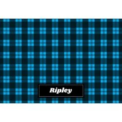 Frisco Plaid Personalized Dog & Cat Placemat -WoofyPlay Store 299564 PT2. AC SS1800 V1636048655