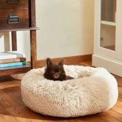 Frisco Eyelash Cat & Dog Bolster Bed & Frisco Eyelash Cat & Dog Bolster Bed -WoofyPlay Store 302450 PT4. AC SS1800 V1623046356