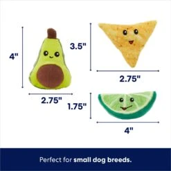 Frisco Guacamole Hide & Seek Puzzle Plush Squeaky Dog Toy & Frisco Guacamole Hide & Seek Puzzle Plush Squeaky Dog Toy Refills -WoofyPlay Store 302478 PT3. AC SS1800 V1693327405