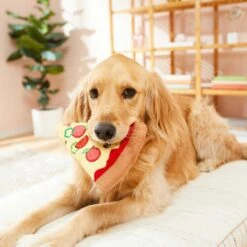 Frisco Pizza Slice Plush Squeaky Dog Toy & Frisco Taco Plush Squeaky Dog Toy -WoofyPlay Store 302494 PT3. AC SS1800 V1623051762