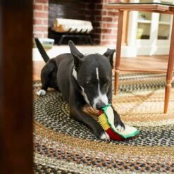 Frisco Pizza Slice Plush Squeaky Dog Toy & Frisco Taco Plush Squeaky Dog Toy -WoofyPlay Store 302494 PT6. AC SS1800 V1623071256