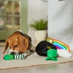 Frisco St. Patrick's Pot Of Gold Hide & Seek Puzzle Plush Squeaky Dog Toy -WoofyPlay Store 303130 PT4. AC SS1800 V1700163009