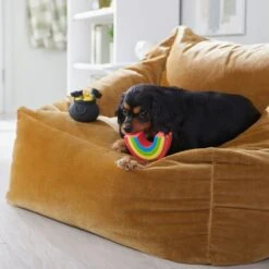 Frisco St. Patrick's Rainbow And Pot Of Gold Latex Squeaky Dog Toy 8 Frisco St. Patrick's Rainbow And Pot Of Gold Latex Squeaky Dog Toy -WoofyPlay Store 303136 PT4. AC SS1800 V1702500566