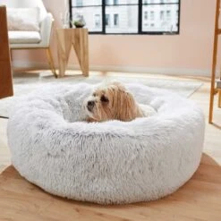 Frisco Eyelash Cat & Dog Bolster Bed & Frisco Eyelash Cat & Dog Blanket 13 Frisco Eyelash Cat & Dog Bolster Bed & Frisco Eyelash Cat & Dog Blanket -WoofyPlay Store 303412 PT4. AC SS1800 V1623069146