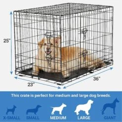 Frisco Fold & Carry Double Door Collapsible Wire Dog Crate & Mat Kit & Frisco Stainless Steel Bowl -WoofyPlay Store 303428 PT2. AC SS1800 V1623055045