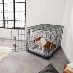 Frisco Fold & Carry Double Door Collapsible Wire Dog Crate & Mat Kit & Frisco Stainless Steel Bowl -WoofyPlay Store 303428 PT4. AC SS1800 V1623089543