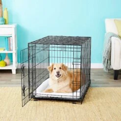 Frisco Fold & Carry Single Door Collapsible Wire Dog Crate & Frisco Premium Extra Large Printed Dog Training & Potty Pads -WoofyPlay Store 303438 PT4. AC SS1800 V1623088347