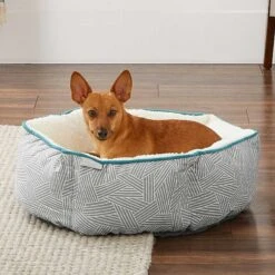 Frisco Sherpa Dog & Cat Blanket & Frisco Sherpa Hexagon Bolster Cat & Dog Bed 15 Frisco Sherpa Dog & Cat Blanket & Frisco Sherpa Hexagon Bolster Cat & Dog Bed -WoofyPlay Store 303598 PT7. AC SS1800 V1623071862