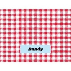 Frisco Personalized Gingham Plaid Sherpa Cat & Dog Blanket, 30" X 40" -WoofyPlay Store 303834 PT4. AC SS1800 V1637610144
