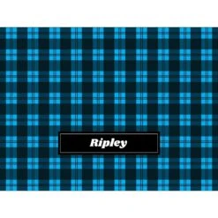 Frisco Personalized Plaid Soft Fleece Cat & Dog Blanket, 30" X 40" -WoofyPlay Store 303999 PT4. AC SS1800 V1637610236