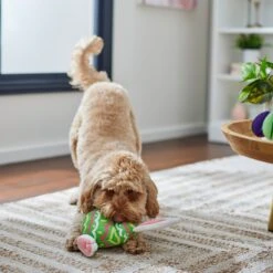 Frisco Easter Bunny Egg Plush Squeaky Dog Toy -WoofyPlay Store 304960 PT4. AC SS1800 V1702500564