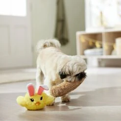Frisco Easter Chick In Nest 2-in-1 Plush Squeaky Dog Toy 8 Frisco Easter Chick In Nest 2-in-1 Plush Squeaky Dog Toy -WoofyPlay Store 304962 PT4. AC SS1800 V1702500565