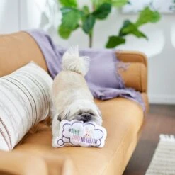 Frisco Easter Message Bubble Plush Squeaky Dog Toy -WoofyPlay Store 304980 PT3. AC SS1800 V1642441439