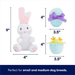 Frisco Easter Basket Hide & Seek Puzzle Plush Squeaky Dog Toy -WoofyPlay Store 304982 PT2. AC SS1800 V1702665735
