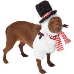 Frisco Front Walking Snowman Dog & Cat Costume -WoofyPlay Store 306569 PT3. AC SS1800 V1631660597