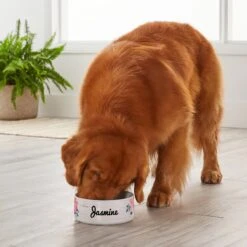 Frisco Personalized Rustic Ceramic Dog Bowl, 4.75-cup, 38oz -WoofyPlay Store 306764 PT4. AC SS1800 V1639518092
