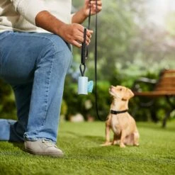 Frisco Dog Poop Bag Square Design Dispenser 12 Frisco Dog Poop Bag Square Design Dispenser -WoofyPlay Store 309816 PT5. AC SS1800 V1670276147