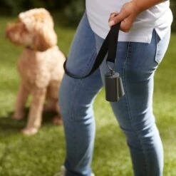 Frisco Poop Bag Square Design Dispenser -WoofyPlay Store 309818 PT5. AC SS1800 V1669101248