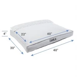 WoofyPlay Store -WoofyPlay Store 311772 PT1. AC SS1800 V1630682189