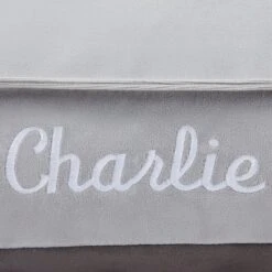 Frisco Personalized Silver Bolstered Bed With Silver Check Bolster, X-Large -WoofyPlay Store 311772 PT3. AC SS1800 V1630594010