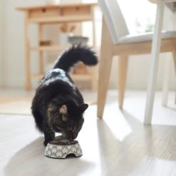 Frisco Moroccan Design Stainless Steel Dog & Cat Bowl 11 Frisco Moroccan Design Stainless Steel Dog & Cat Bowl -WoofyPlay Store 311963 PT3. AC SS1800 V1642542386