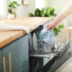 Frisco Coral Design Stainless Steel Dog & Cat Bowl -WoofyPlay Store 311972 PT7. AC SS1800 V1642543254