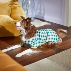 Frisco Boho Gingham Dog & Cat PJs -WoofyPlay Store 312272 PT8. AC SS1800 V1644880063