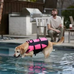 Frisco Ripstop Dog Life Jacket, Pink 17 Frisco Ripstop Dog Life Jacket, Pink -WoofyPlay Store 312380 PT8. AC SS1800 V1649275938