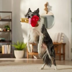 Frisco Valentine Ice Cream Plush Squeaky Dog Toy -WoofyPlay Store 312895 PT3. AC SS1800 V1701364917