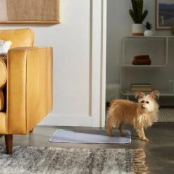 Frisco Washable Dog Potty Pads -WoofyPlay Store 315712 PT3. AC SS1800 V1644880410