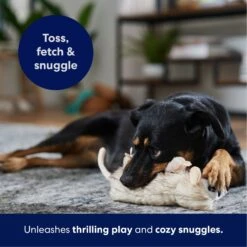 Frisco Realistic Opossum Plush Squeaky Dog Toy -WoofyPlay Store 316929 PT4. AC SS1800 V1695760990