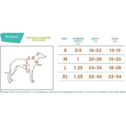 Frisco Outdoor Premium Ripstop Nylon Dog Harness With Pocket & Frisco Outdoor Nylon Reflective Comfort Padded Dog Collar -WoofyPlay Store 319304 PT3. AC SS1800 V1631150776