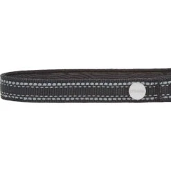 Frisco Outdoor Premium Ripstop Nylon Dog Harness With Pocket & Frisco Outdoor Nylon Reflective Comfort Padded Dog Collar -WoofyPlay Store 319304 PT6. AC SS1800 V1631158591