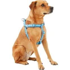 Frisco Outdoor Two Tone Waterproof Stinkproof PVC Dog Harness & Frisco Outdoor Two Tone Waterproof Stinkproof PVC Dog Harness -WoofyPlay Store 319396 PT2. AC SS1800 V1630624884