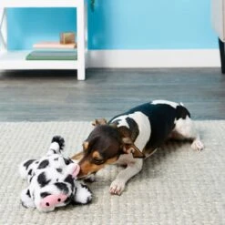 Frisco Cow Plush Squeaky Dog Toy & Playology Scented Dual Layer Ring Dog Toy -WoofyPlay Store 319488 PT3. AC SS1800 V1630626696