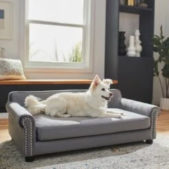 Frisco Sofa Pet Bed With Removable Cover & Frisco Eyelash Cat & Dog Blanket -WoofyPlay Store 319504 PT4. AC SS1800 V1630625195