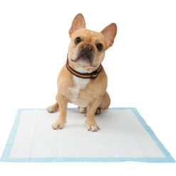 Frisco Training Pad Holder & Frisco Premium Dog Training & Potty Pads 17 Frisco Training Pad Holder & Frisco Premium Dog Training & Potty Pads -WoofyPlay Store 319526 PT8. AC SS1800 V1630628180