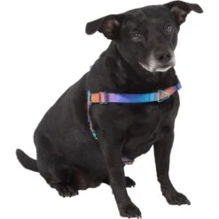 Frisco Purple Ombre Style Dog Harness -WoofyPlay Store 324526 PT2. AC SS1800 V1642519692