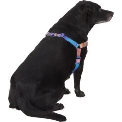 Frisco Purple Ombre Style Dog Harness -WoofyPlay Store 324526 PT3. AC SS1800 V1642519104