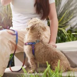 Frisco Purple Ombre Style Dog Harness -WoofyPlay Store 324526 PT4. AC SS1800 V1642518470