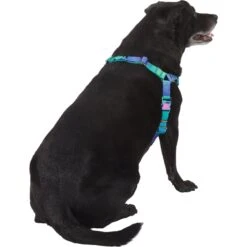 Frisco Green Ombre Style Dog Harness 8 Frisco Green Ombre Style Dog Harness -WoofyPlay Store 324531 PT3. AC SS1800 V1642518631