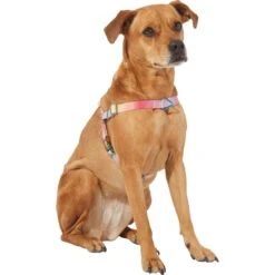 Frisco Pink Ombre Style Dog Harness -WoofyPlay Store 324537 PT2. AC SS1800 V1642519336