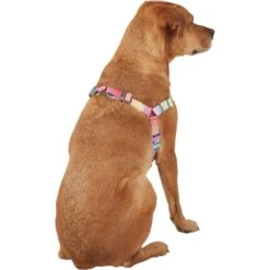 Frisco Pink Ombre Style Dog Harness -WoofyPlay Store 324537 PT3. AC SS1800 V1642519146