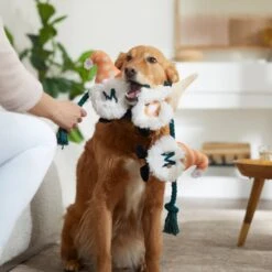 Frisco Mother's Day Gnomes Plush With Rope Squeaky Dog Toy -WoofyPlay Store 327037 PT3. AC SS1800 V1646948102