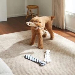 Frisco Ties Plush Dog Toy, 3 Count -WoofyPlay Store 327043 PT3. AC SS1800 V1648667267