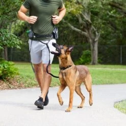 Frisco Outdoor Running Belt With Bungee Dog Leash -WoofyPlay Store 331408 PT6. AC SS1800 V1660078547