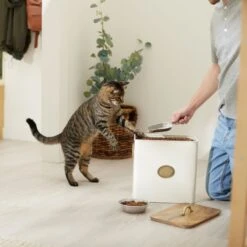 Frisco Premium Airtight Dog & Cat Food Storage Canister With Scoop -WoofyPlay Store 331486 PT3. AC SS1800 V1657656891