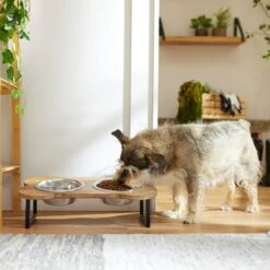 Frisco Premium Wood Elevated Bone Shape Stainless Steel Double Diner Dog & Cat Bowl, 3 Cup 8 Frisco Premium Wood Elevated Bone Shape Stainless Steel Double Diner Dog & Cat Bowl, 3 Cup -WoofyPlay Store 331497 PT2. AC SS1800 V1657656892